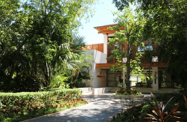 new spa surrounded by lush jungle at mayakoba